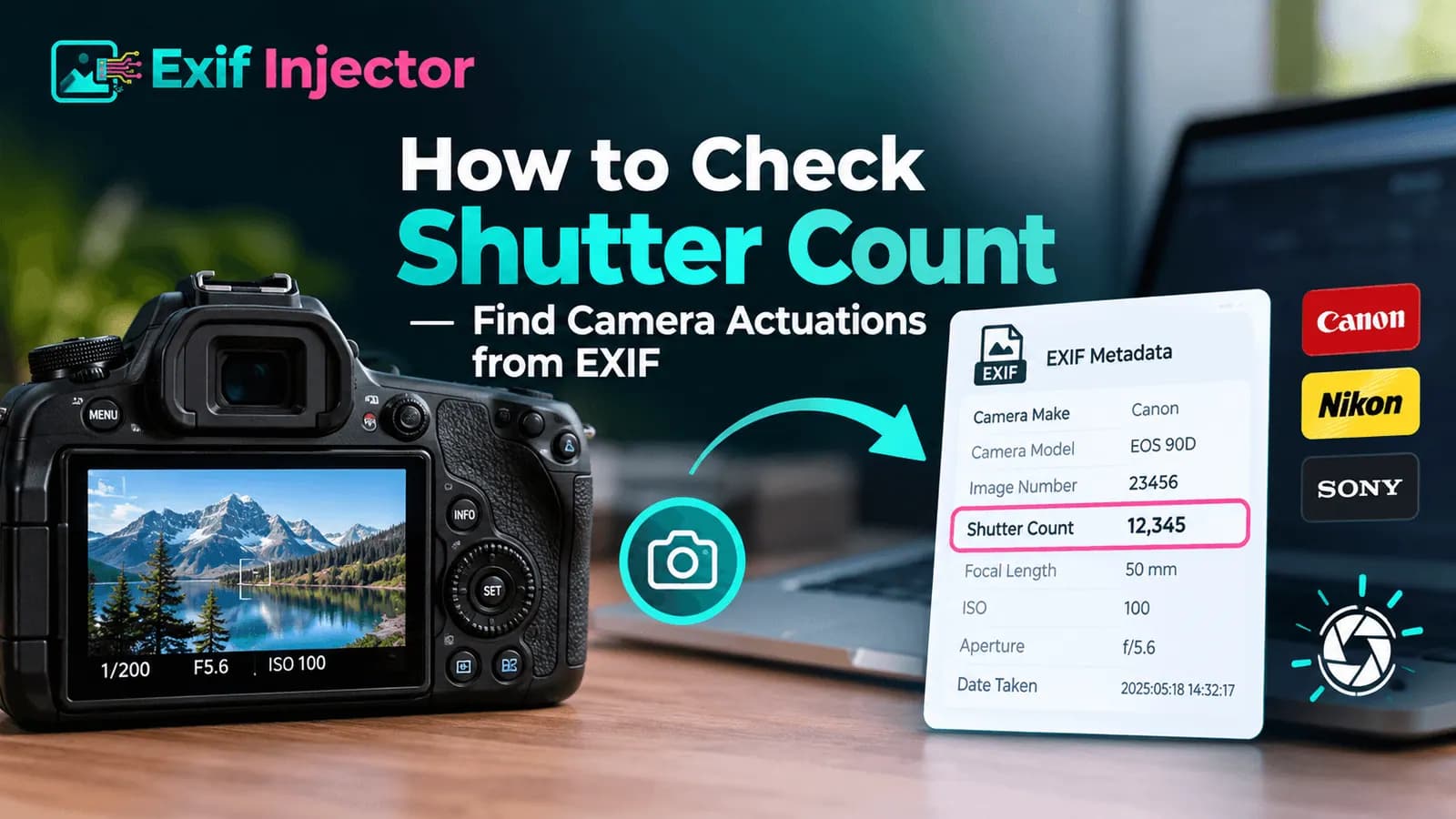 How to Check Shutter Count — Find Camera Actuations from EXIF