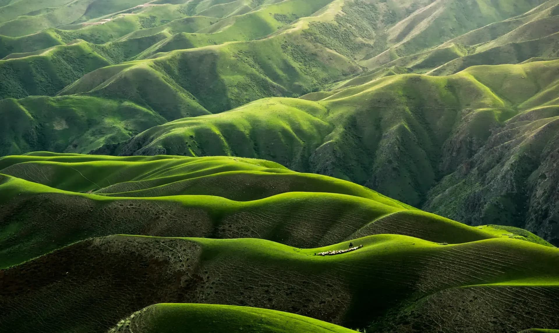 Dreamstime metadata preview image