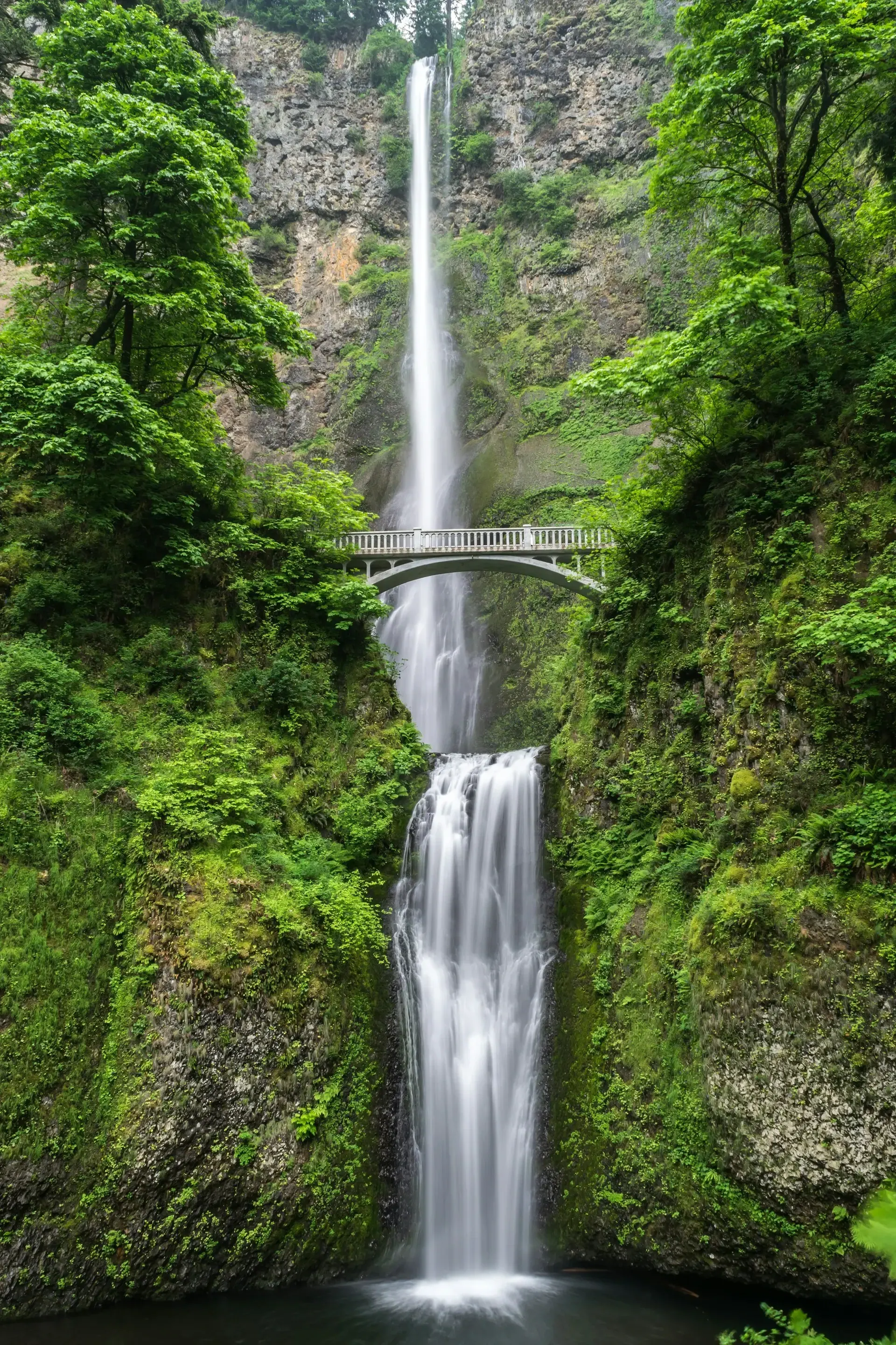Sample Adobe Stock image — check and remove EXIF before uploading