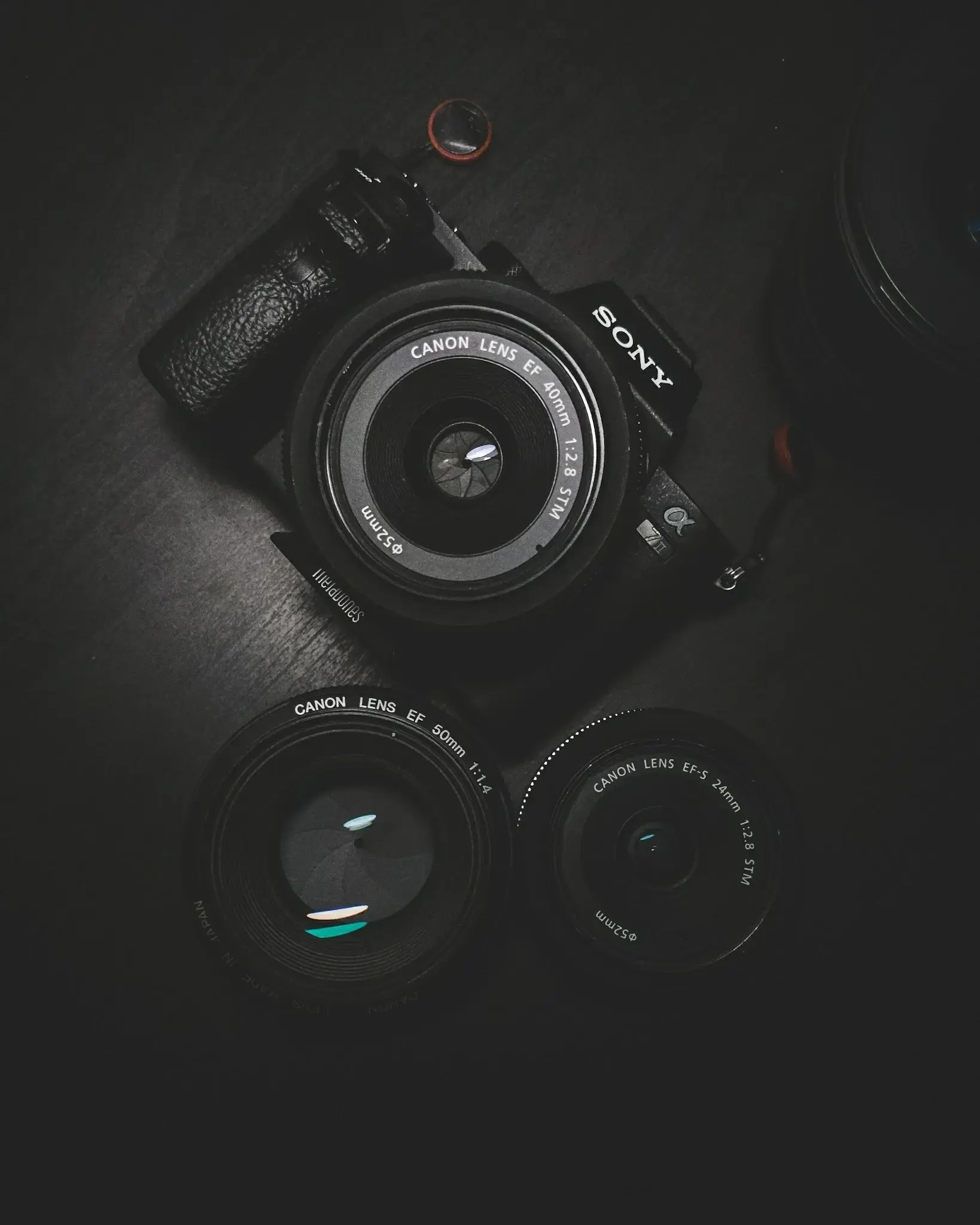 Camera and image file — verify IPTC, XMP, and copyright in your metadata